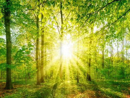 Guided Coaching Meditation - Wheel Of Life