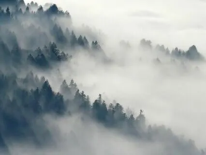 Guided Coherent Breathwork