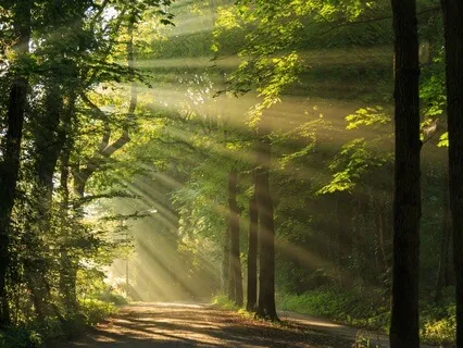 Guided Communion: Your Calling