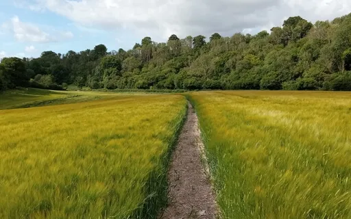 Guided Countryside Nature Meditation Visualization