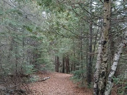 Guided December Releasing Meditation