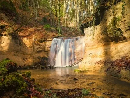 Guided Deep Breathing And Body Relaxation