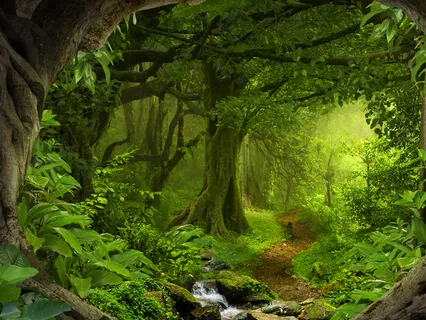 Guided Deep Jungle Practice