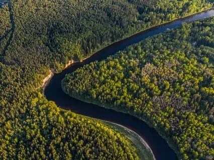 Guided Earth Meditation: Reconnecting With Our Great Planetary Home