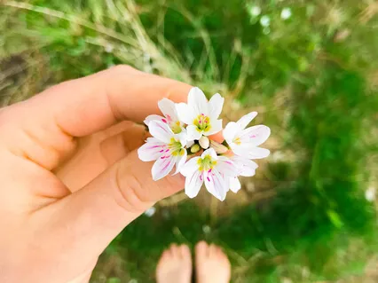 Guided Earthing Meditation