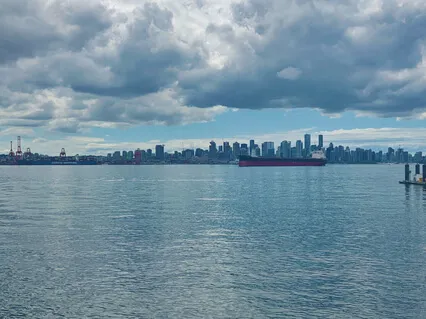 Guided Embodiment Meditation For Projectors