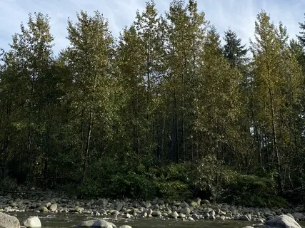 Guided Embodiment Meditation For Reflectors