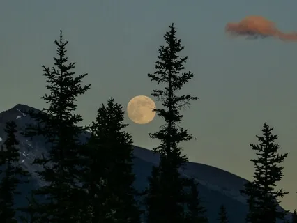 Guided Evening Meditation - Healing Lunar Energy