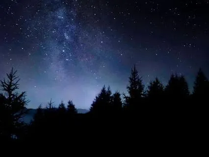 Guided Evening Wind-Down For Rest | 14 Min