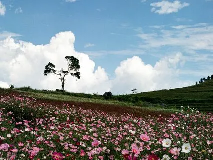 How To Create Heal Moments