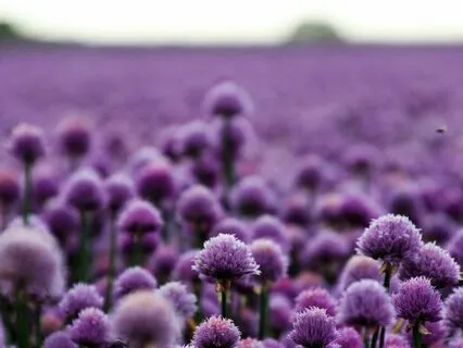 Guided Exercise To Stop Ruminating Negativity