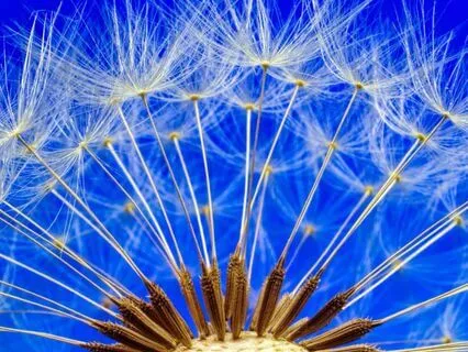 Guided Fertility Meditation