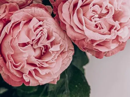 Guided Five Senses Visualization 3/5 - Smell