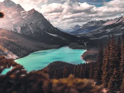 Clearing A Space Biliana