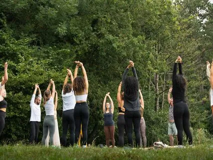 Guided Forest Bathing Visualization Meditation - Pine Forest