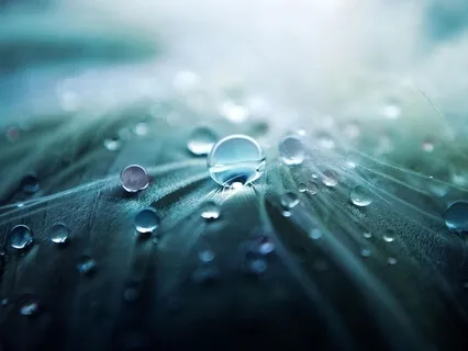 Guided Forgiveness Meditation