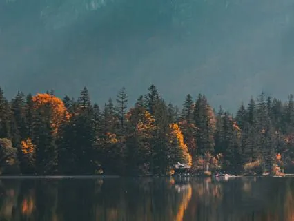 Guided : From Mettā (Brahmavihāras) To The Jhānas