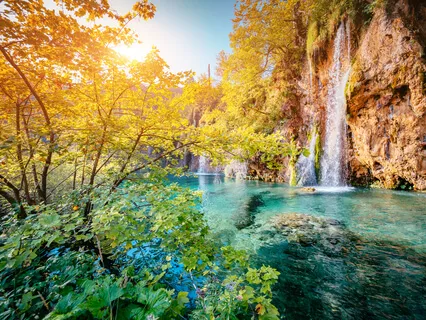 Guided Full Body Relaxation