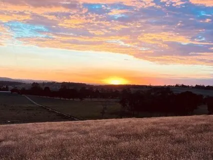 Guided Gratitude Meditation For Calm