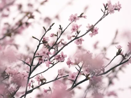 Guided Gratitude Exercise