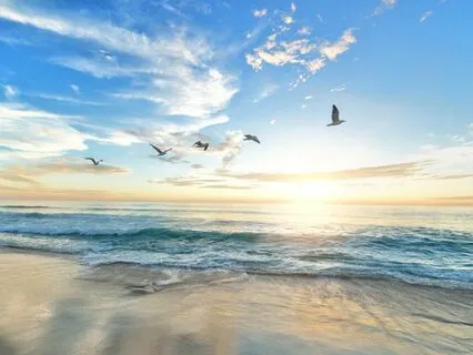 Guided Healing Meditation for Relaxation and Reducing Stress