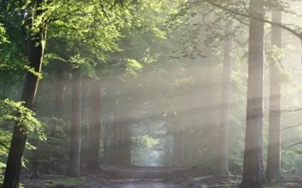 Guided Healing Meditation With Love From Your Spirit Guides