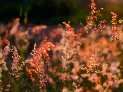 Guided Heart Meditation To Feel Love In Every Cell Of Your Body