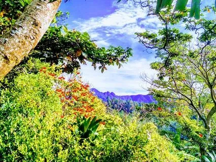 Guided Hiking Meditation: A Conversation With Mother Nature