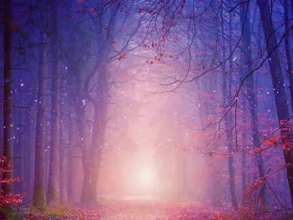 Guided Imagery For Kids: Magical Forest Journey