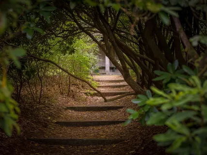 Guided Imagery - Lush Secret Garden