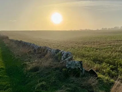 Guided Imagery To Rest & Breathe: Scottish Fields & Sea