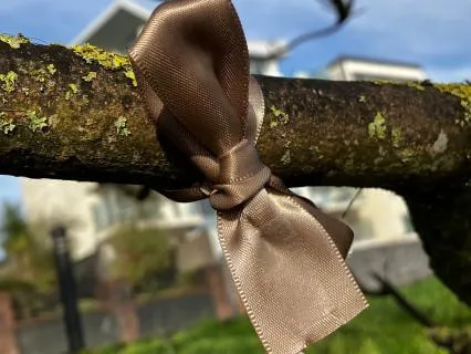 Guided Inner-Child Meditation To Reconnect To Self