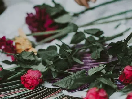 Guided Intuition Check-in Meditation