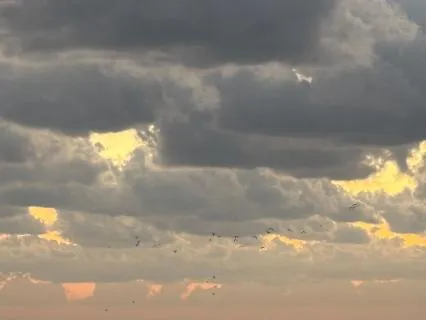 Guided Journaling - Rewrite Your Inner Story