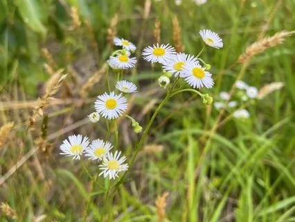 Guided Journey For Kids