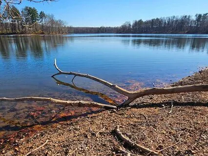 Guided Journey Meditation, Grounding, And Centering For Self