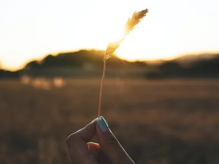 Guided Journey To Balance The Chakras