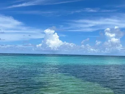 Guided Journey To Release And Recharge