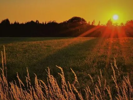 Guided Light Visualization For Inner Peace And Positivity