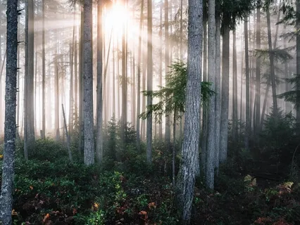 Guided Loving Kindness 