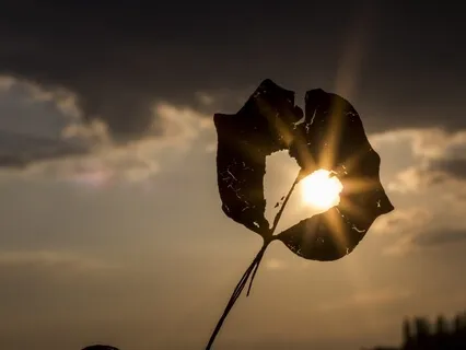 Guided Lovingkindness Meditation