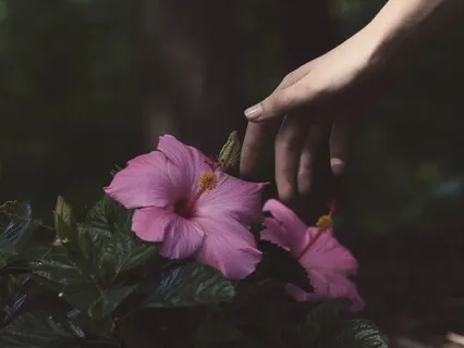 Manifest Success & Align With The Energy Of Your Desires