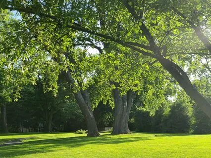 Guided Meditation - My Peaceful Place