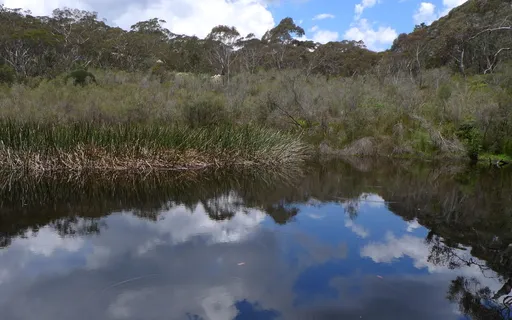 Guided Meditation 1. Silence, Stillness And Knowing 