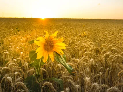 Understanding What It Means To Feel Within