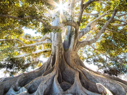 Guided Meditation 2 - Resonance - Being