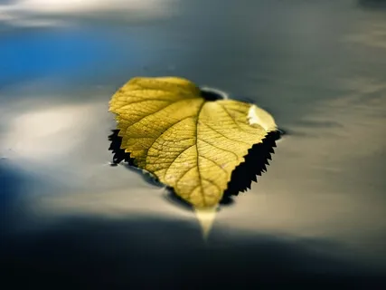 Guided Meditation 3 - Resonance - Thoughts