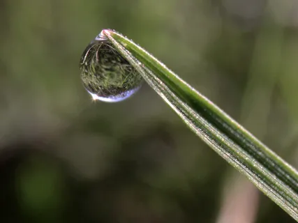 Guided Meditation 4 - Resonance - Now