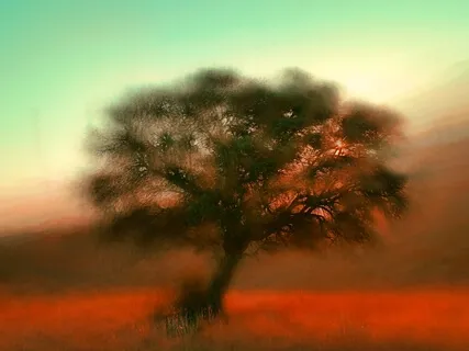 Guided Meditation 6: Whole Body Breathing With The Central Channel