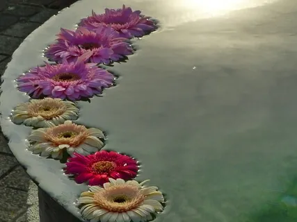 Guided Meditation: Abiding In Innate Goodness. Feb 4, 2023